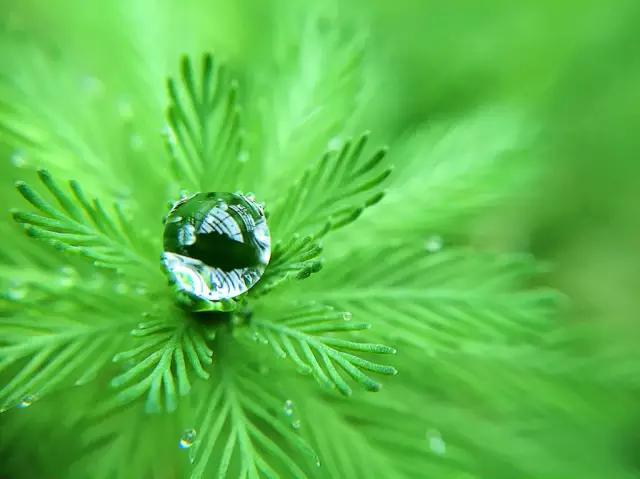 cmpa是什么,cmpa东莞坎普