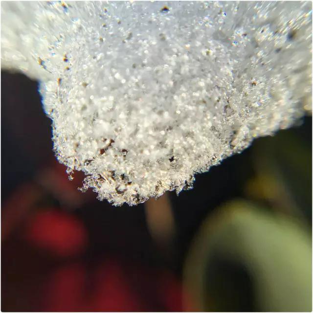 cmpa是什么,cmpa东莞坎普