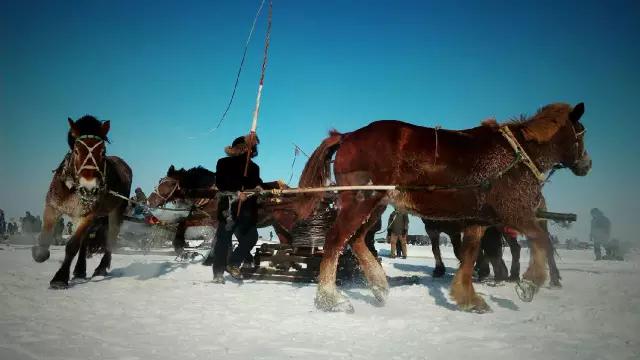 cmpa是什么,cmpa东莞坎普