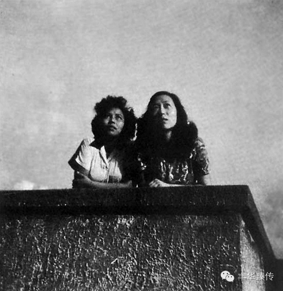 帽哥推荐|道不尽的张爱玲