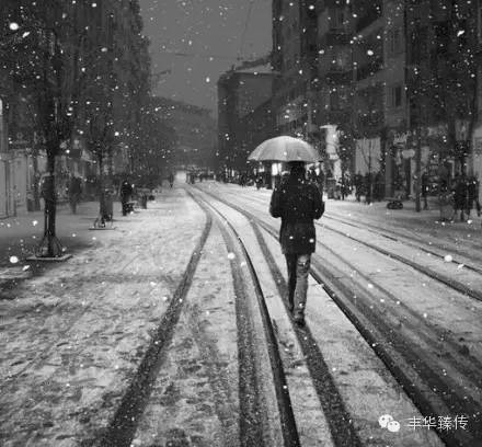 帽哥推荐|道不尽的张爱玲