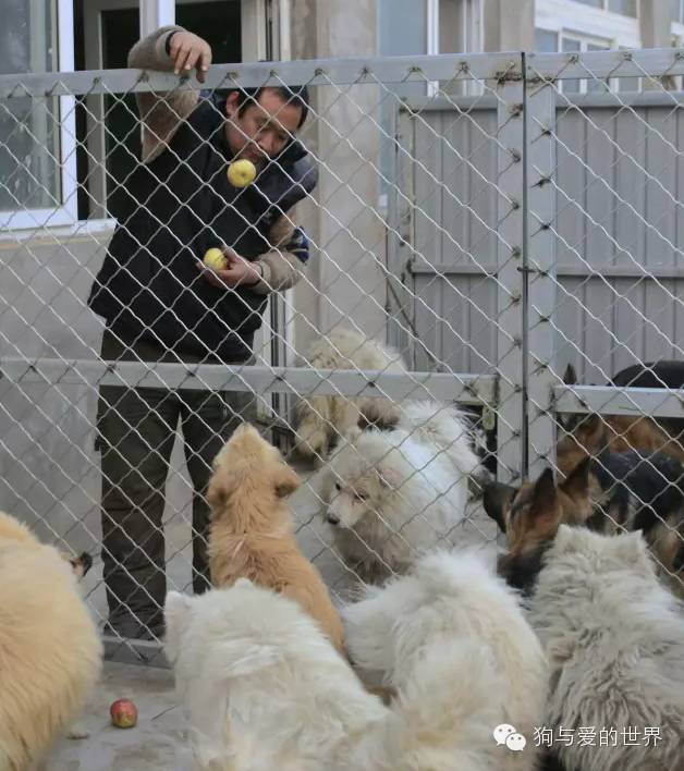 他们是最可爱的人作文700字 (他们是最可爱的人英语)