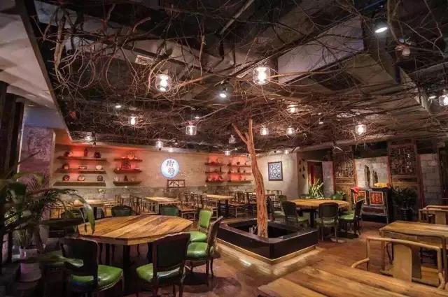 树和家的介绍,树和和美在一起了吗