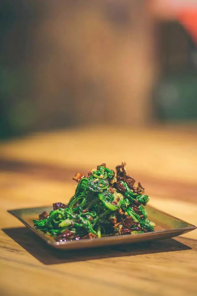 树和家的介绍,树和和美在一起了吗