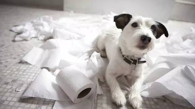 bbc英语单词汇总,英语bbc单词