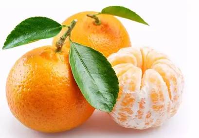 今天处暑,今天处暑节气