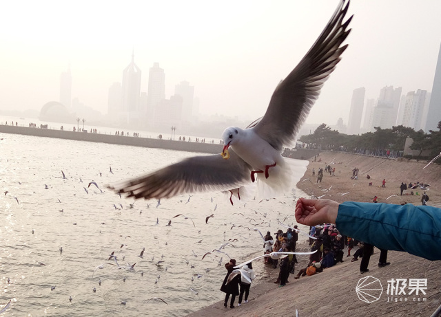 有没有跟iphone一样的手机,和iphone外观相似的安卓机