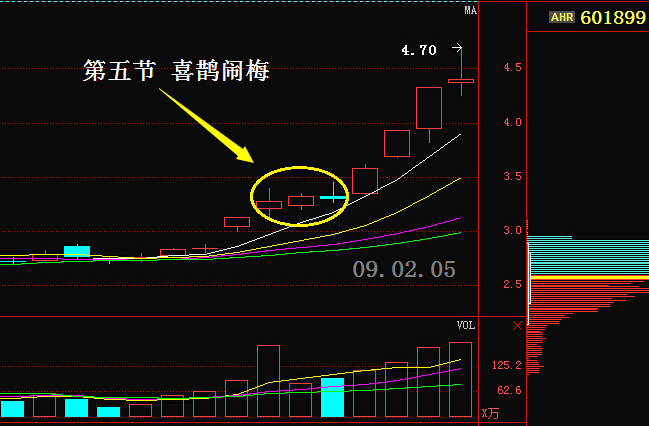 牛散炒股专用选股法,股市牛散操盘方法