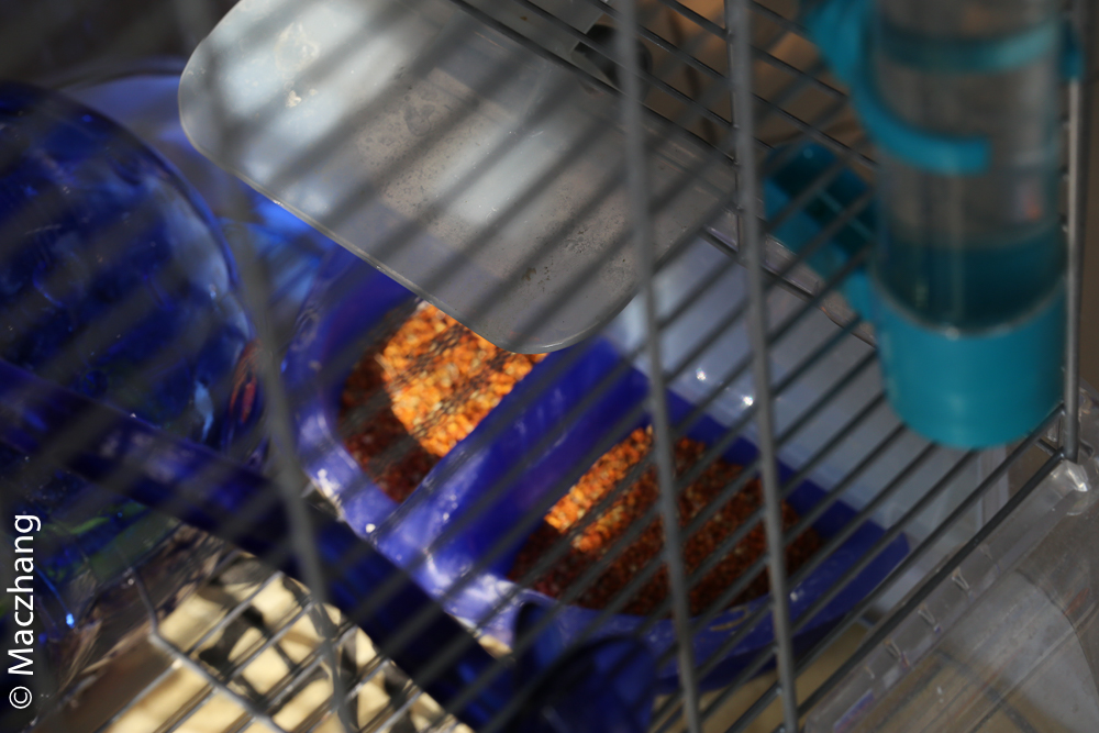 哈根笼子设计,鹦鹉笼设计图