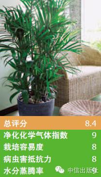 雾霾天室内空气真的比室外好吗,室内防止雾霾的小妙招