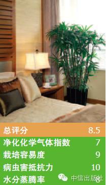 雾霾天室内空气真的比室外好吗,室内防止雾霾的小妙招