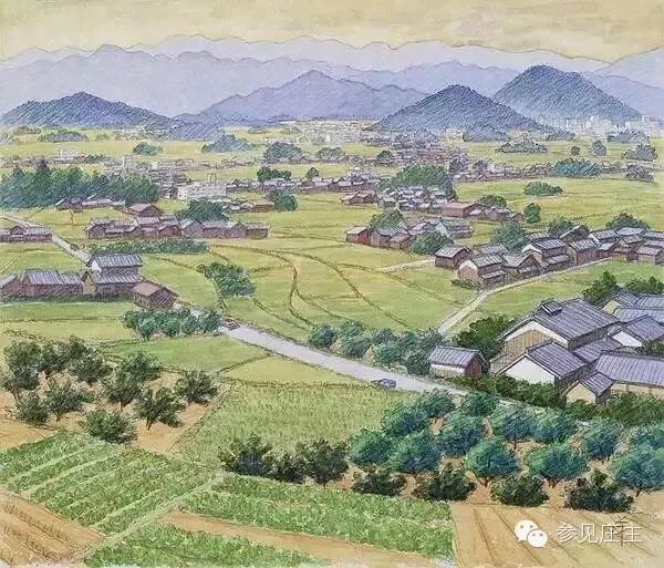 民宿运营托管公司,民宿托管运营坑