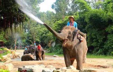 娉板浗钀藉湴绛剧敵璇疯〃,娉板浗钀藉湴绛捐浆绛捐瘉