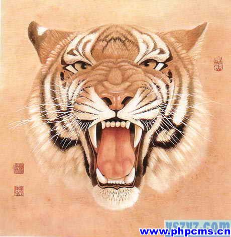 工笔虎技法,工笔虎教学