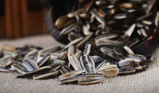 年货瓜子怎么挑选,买年货瓜子有什么讲究