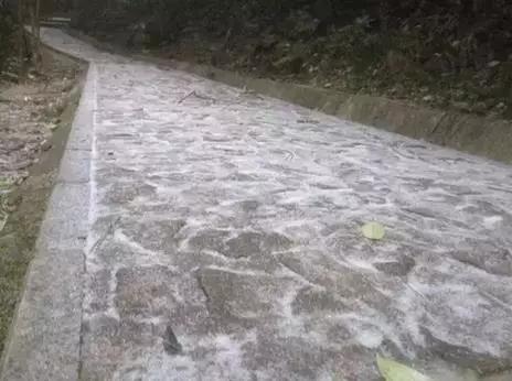 东莞第一场雪哪一年,东莞哪一年下过雪