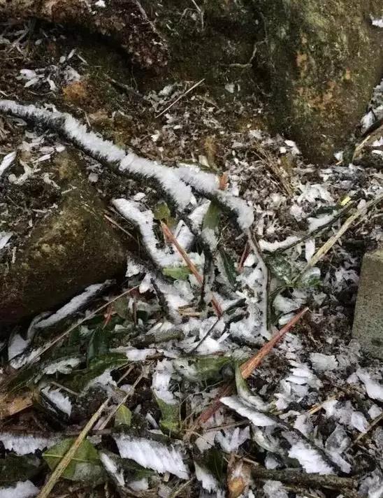 东莞第一场雪哪一年,东莞哪一年下过雪