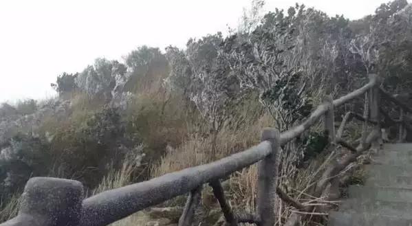 东莞第一场雪哪一年,东莞哪一年下过雪