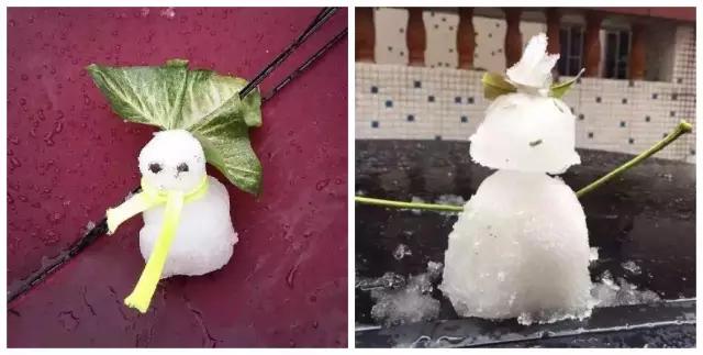 东莞第一场雪哪一年,东莞哪一年下过雪