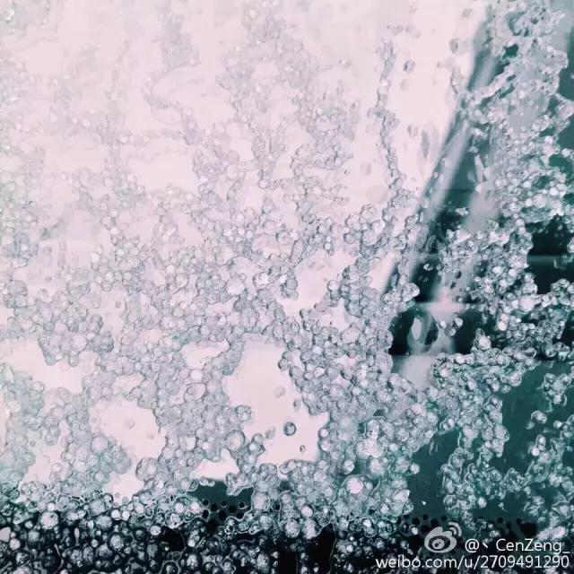 东莞第一场雪哪一年,东莞哪一年下过雪