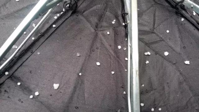 东莞第一场雪哪一年,东莞哪一年下过雪