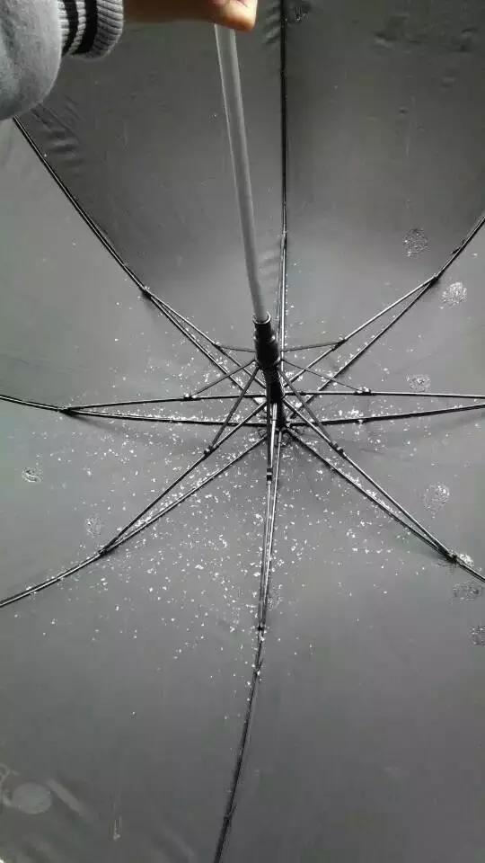 东莞第一场雪哪一年,东莞哪一年下过雪