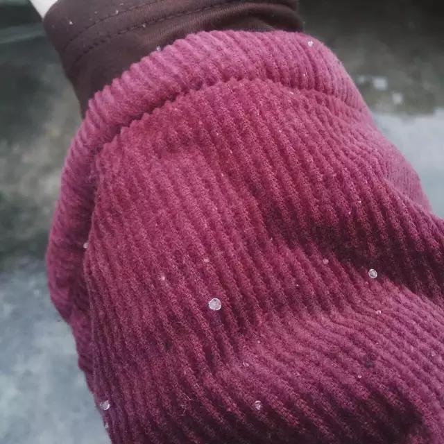 东莞第一场雪哪一年,东莞哪一年下过雪