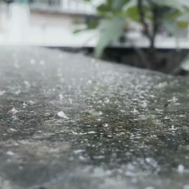 东莞第一场雪哪一年,东莞哪一年下过雪