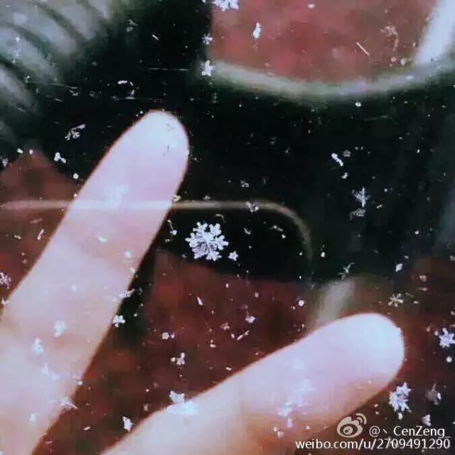 东莞第一场雪哪一年,东莞哪一年下过雪