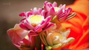 哪些高品质的纪录片值得一看,推荐几部好看的纪录片