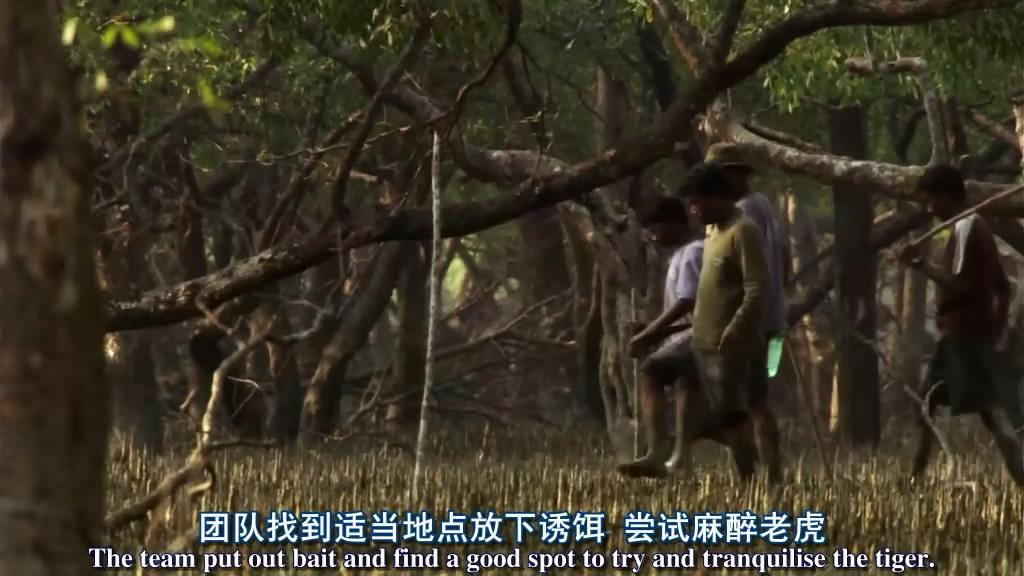 哪些高品质的纪录片值得一看,推荐几部好看的纪录片