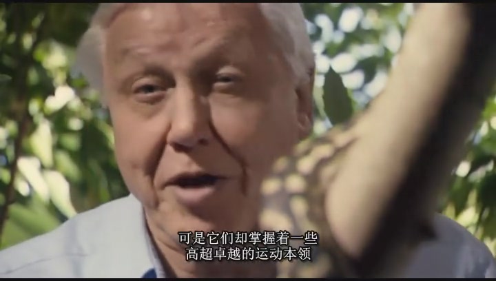 哪些高品质的纪录片值得一看,推荐几部好看的纪录片