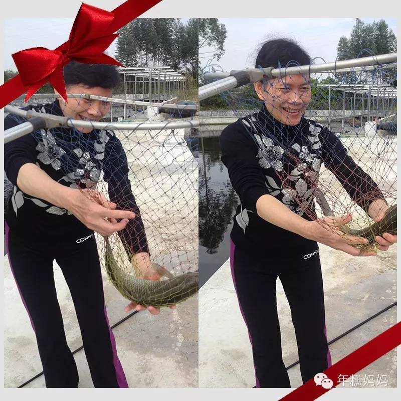 我花了一点点钱,却让他们高兴了大半年