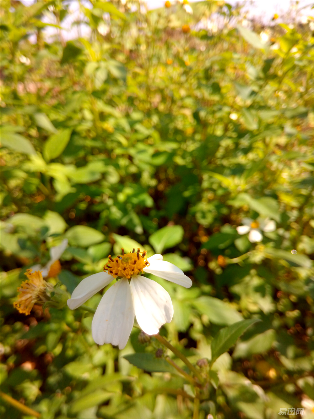 做工品质好手机,做工显高级的手机