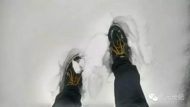 大明山海拔多少米,大明山海拔高