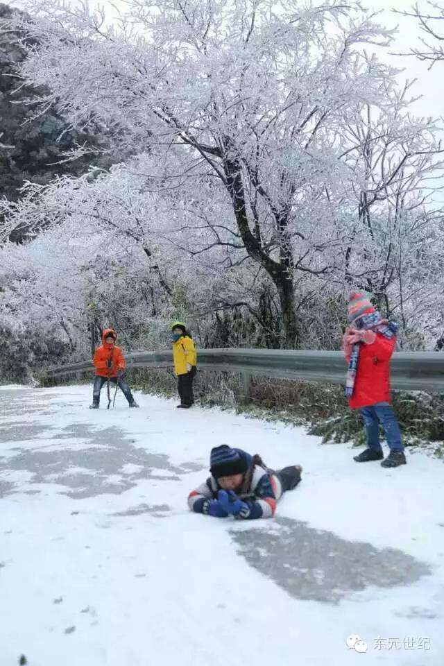 大明山海拔多少米,大明山海拔高