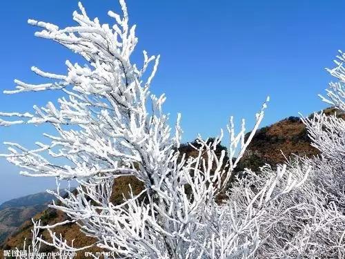 大明山海拔多少米,大明山海拔高