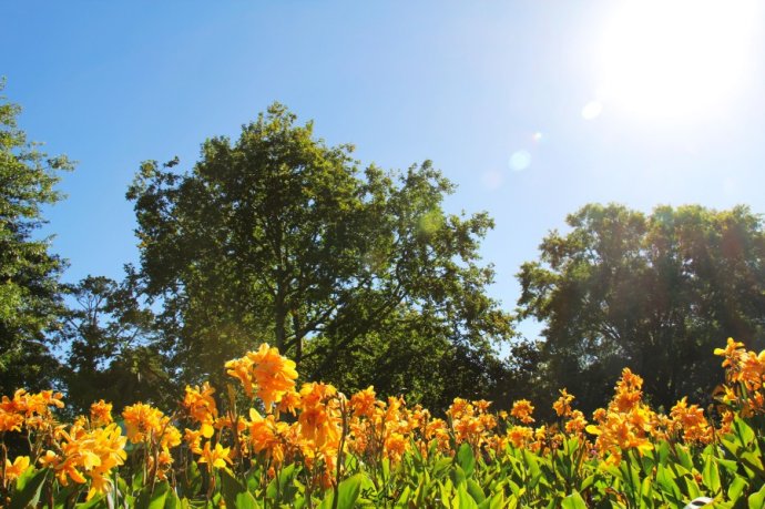奥克兰天空城,奥克兰天空之塔攻略