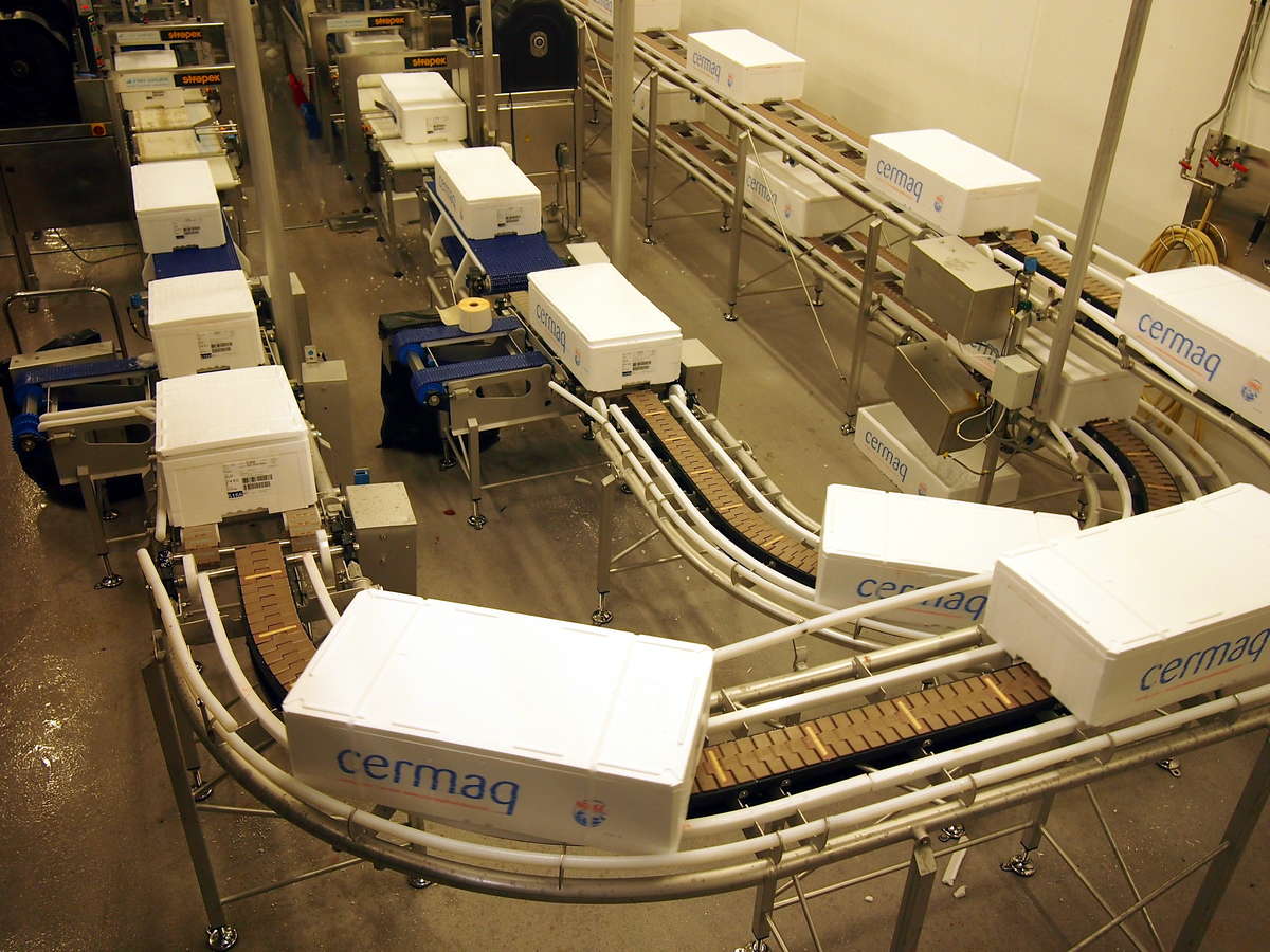 三文鱼总养殖量,全球各三文鱼产量