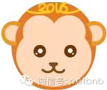 家养小宠物猴,养刚生下来的小猴子当宠物