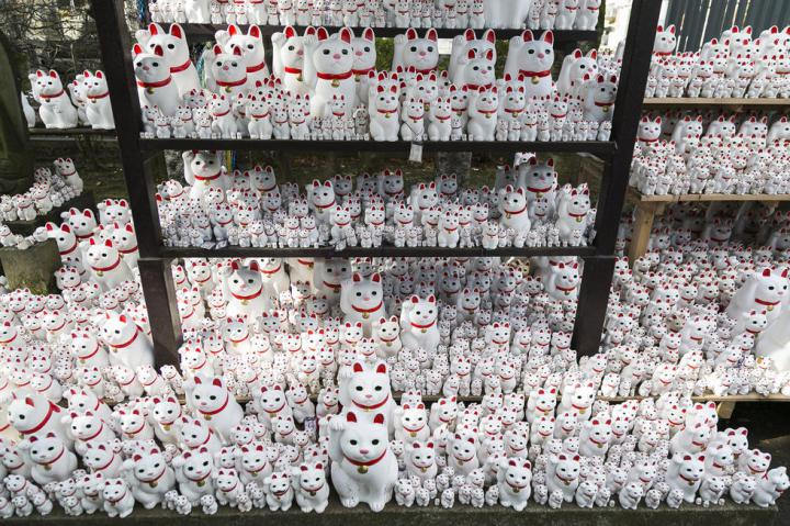 春晚你最期待哪个节目,春晚你最期待的节目