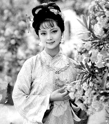 红楼梦中有许多谐音,红楼梦中的谐音隐喻