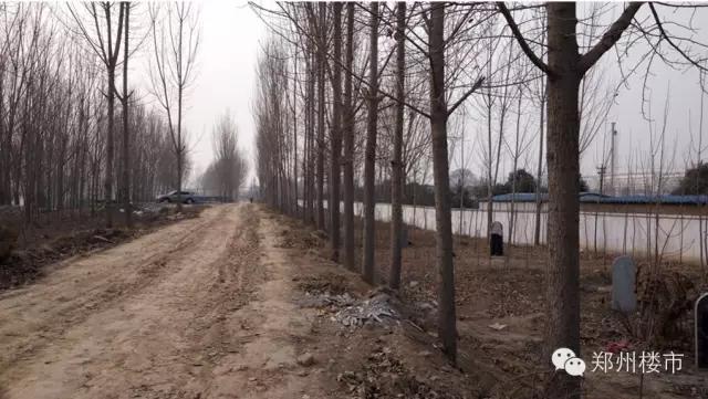 金科最新土拍价,金科土拍