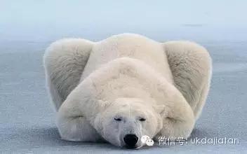 腐国奇葩boy，多花13小时绕路回家，只为省7镑!