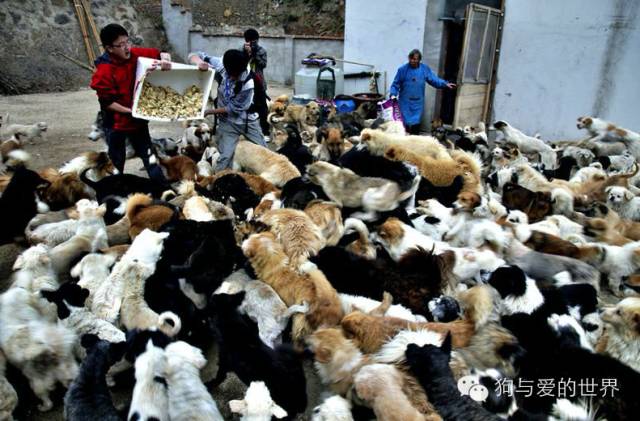 他们是最可爱的人作文700字 (他们是最可爱的人英语)