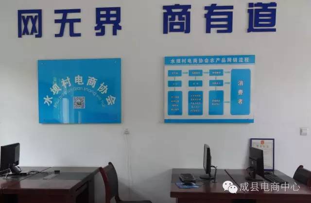 成县核桃节，乡镇电商路苏元镇创新网货包装，严控网货质量，走品牌扶贫之路