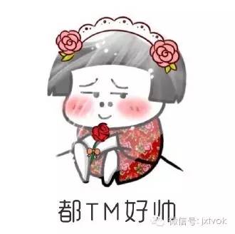 李连杰浪荡江湖,李连杰甄子丹赵文卓主演