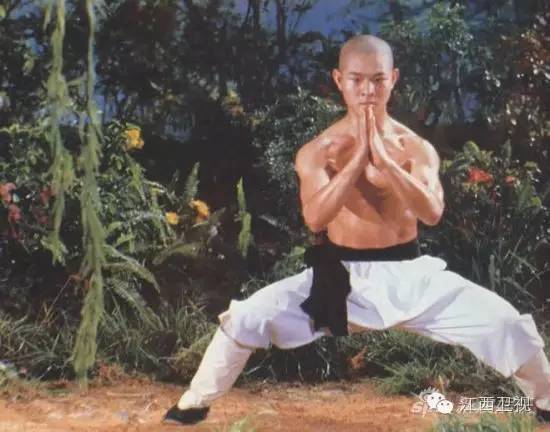 李连杰浪荡江湖,李连杰甄子丹赵文卓主演