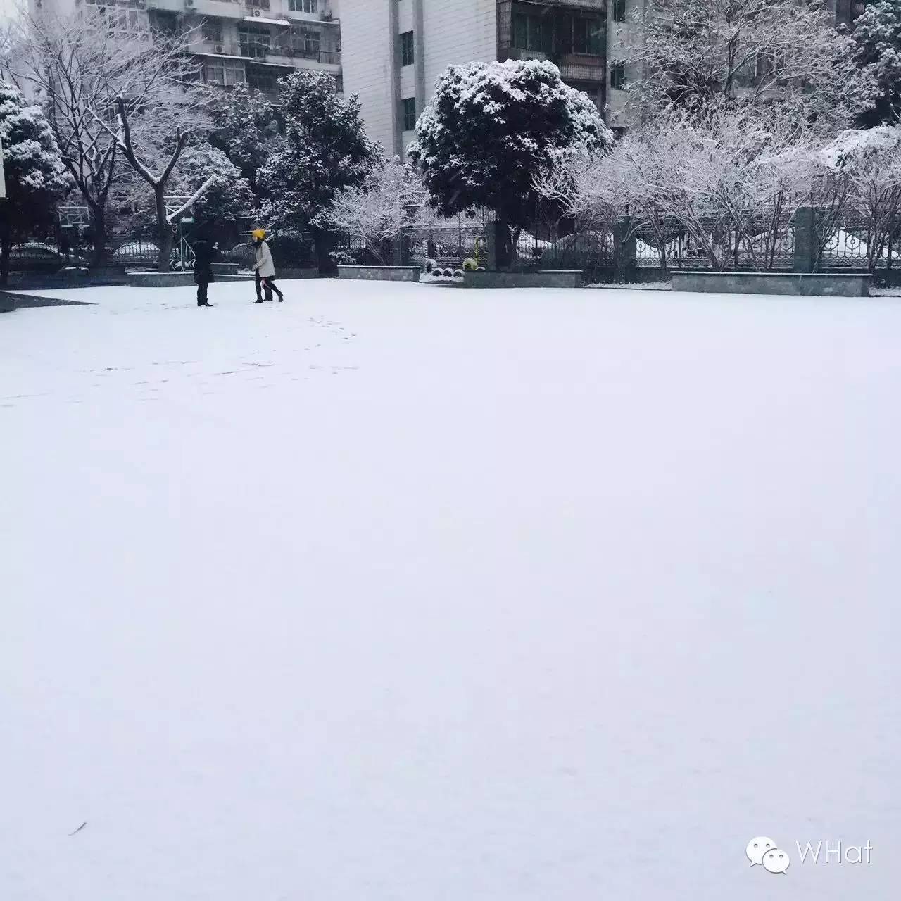 武汉只下一天雪吗,武汉下的是雪吗