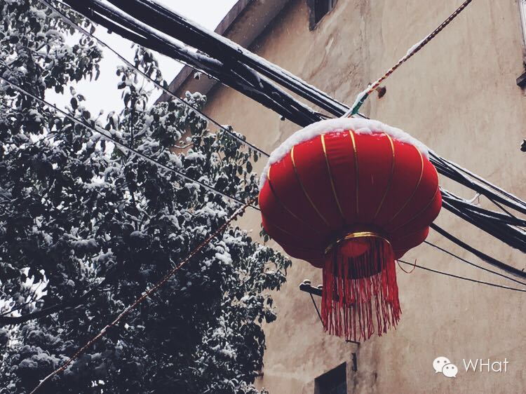 武汉只下一天雪吗,武汉下的是雪吗